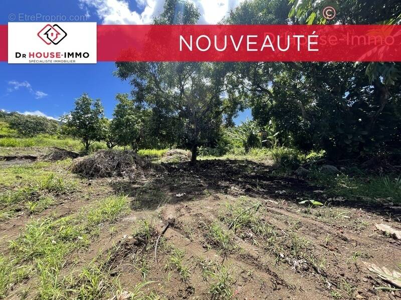 Terrain à VIEUX-HABITANTS