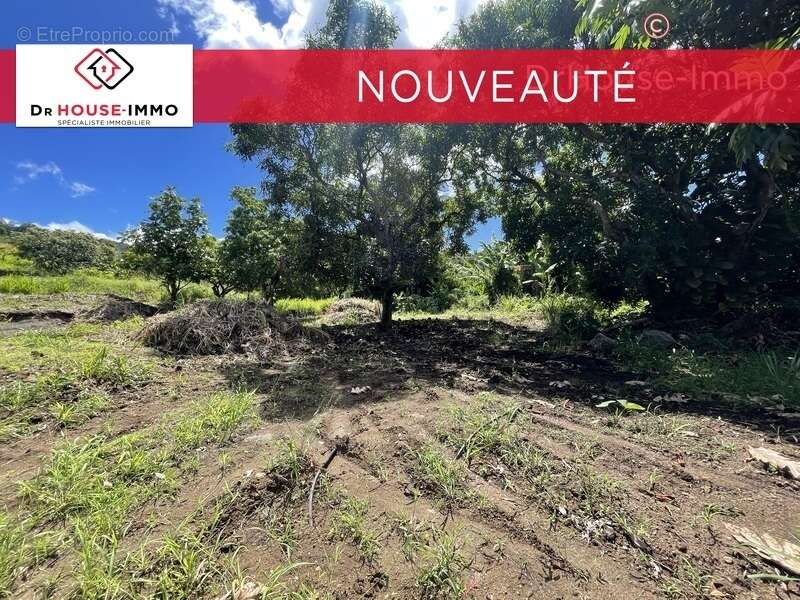 Terrain à VIEUX-HABITANTS