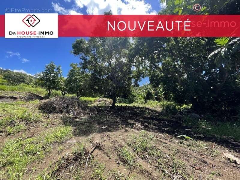 Terrain à VIEUX-HABITANTS