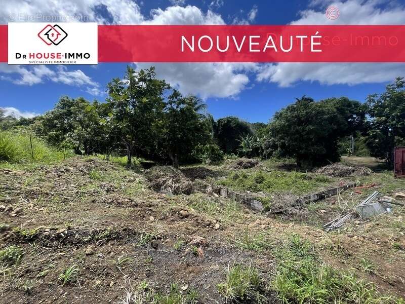 Terrain à VIEUX-HABITANTS