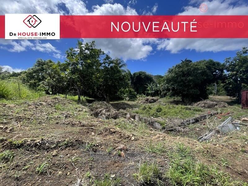 Terrain à VIEUX-HABITANTS