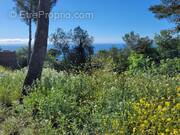 Terrain à LA TURBIE