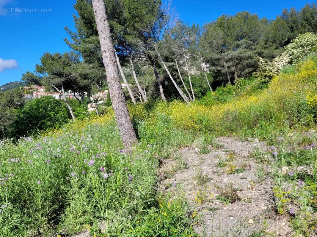 Terrain à LA TURBIE