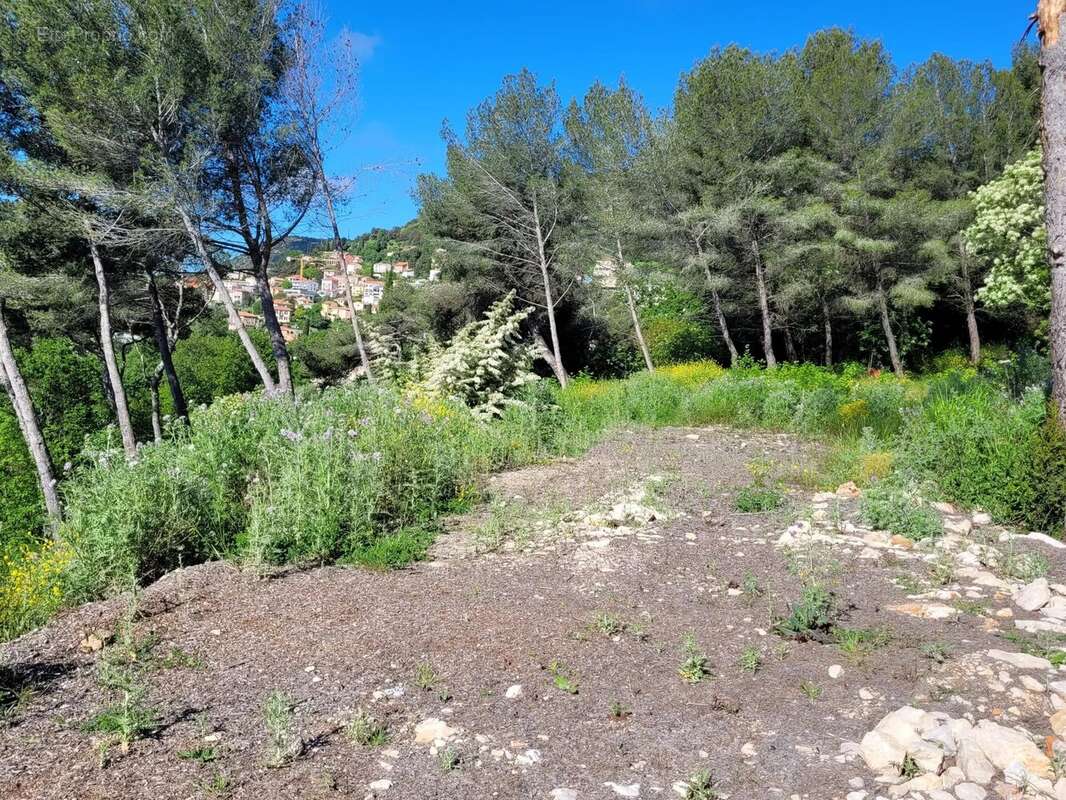 Terrain à LA TURBIE