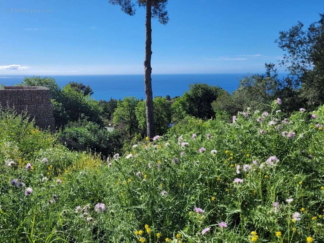 Terrain à LA TURBIE