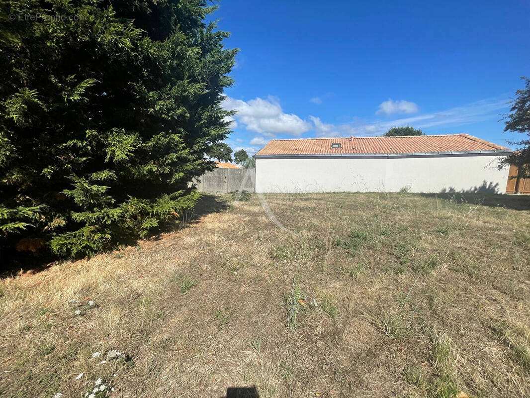 Terrain à SAINT-HILAIRE-DE-RIEZ