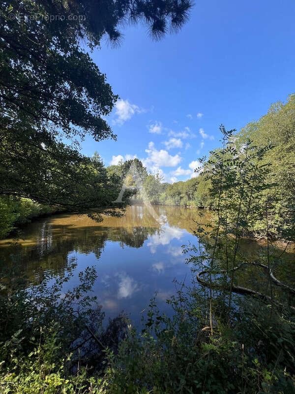 Terrain à BEAULIEU-SOUS-LA-ROCHE
