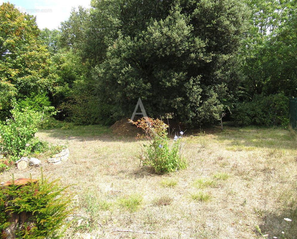 Terrain à NIEUL-SUR-MER