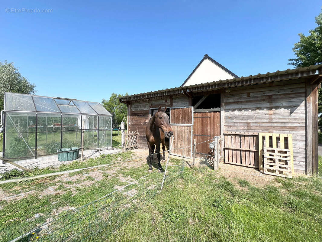 Maison à SAINT-VENANT