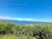 Appartement à BANYULS-SUR-MER