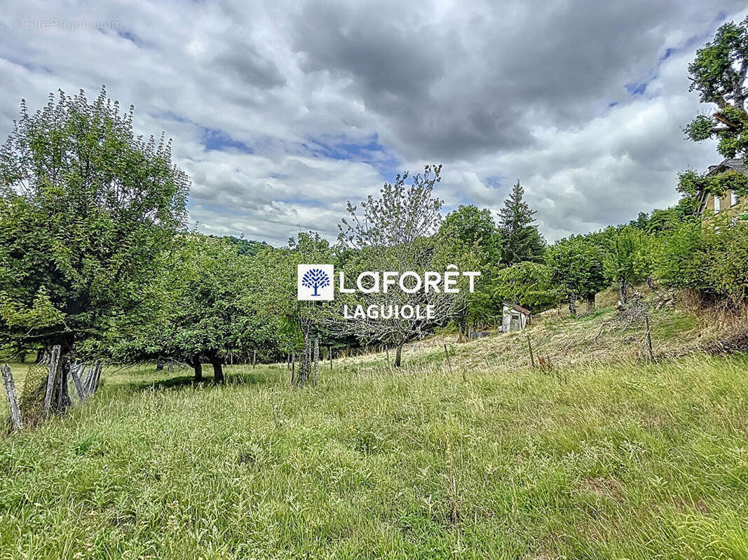 Maison à SAINTE-GENEVIEVE-SUR-ARGENCE