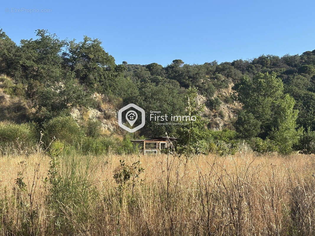 Terrain à ILLE-SUR-TET