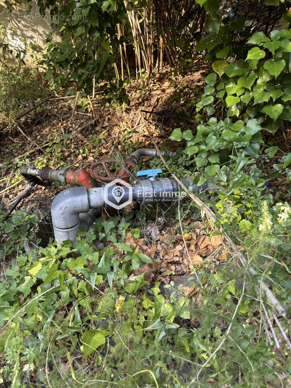 Terrain à ILLE-SUR-TET