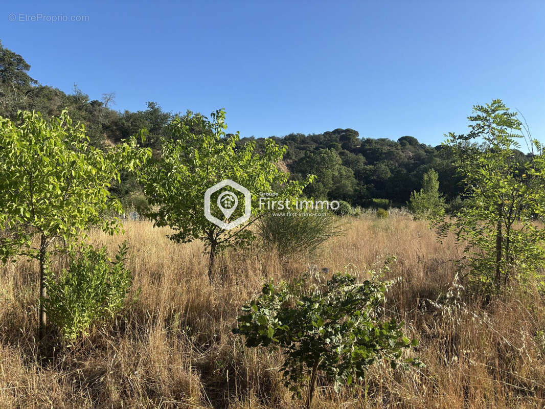 Terrain à ILLE-SUR-TET