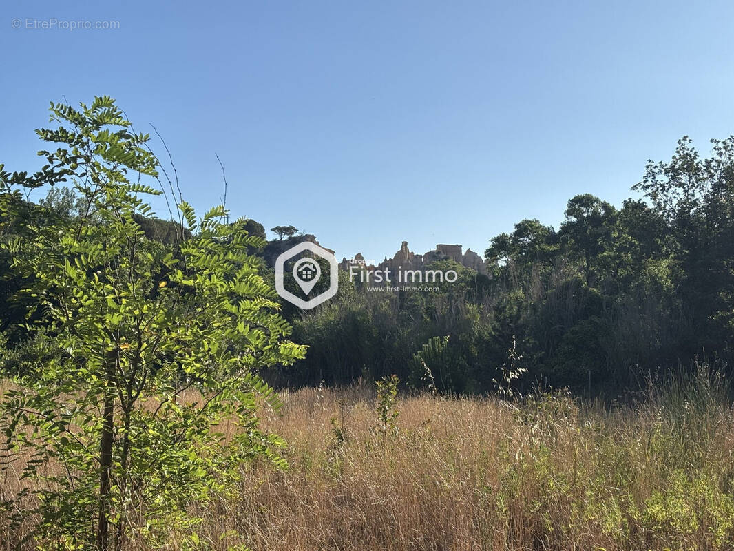 Terrain à ILLE-SUR-TET