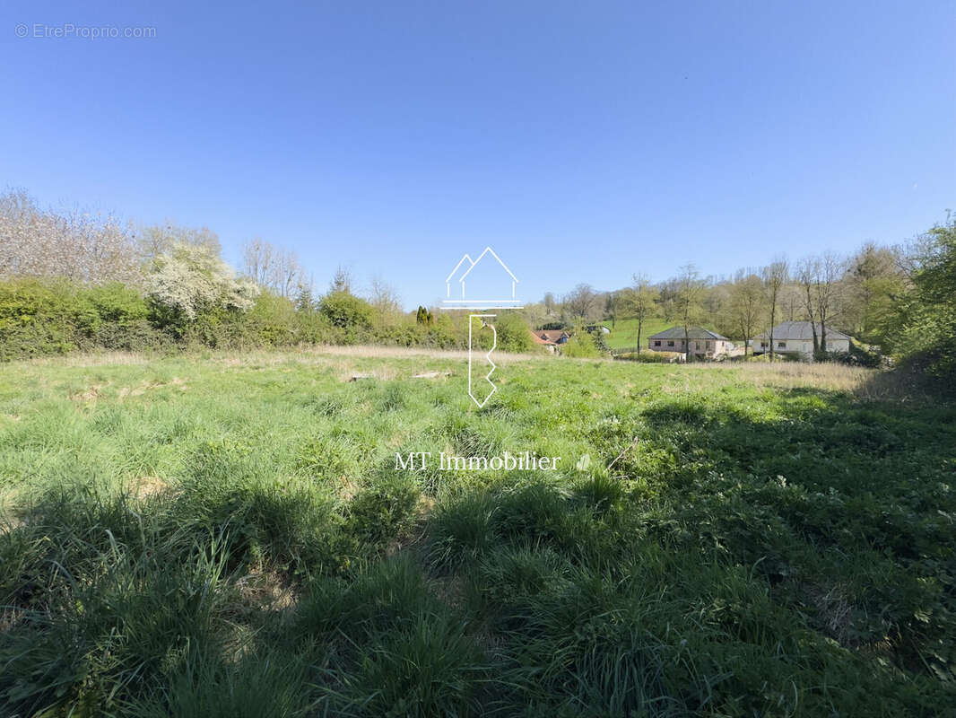 Terrain à HUMBERT
