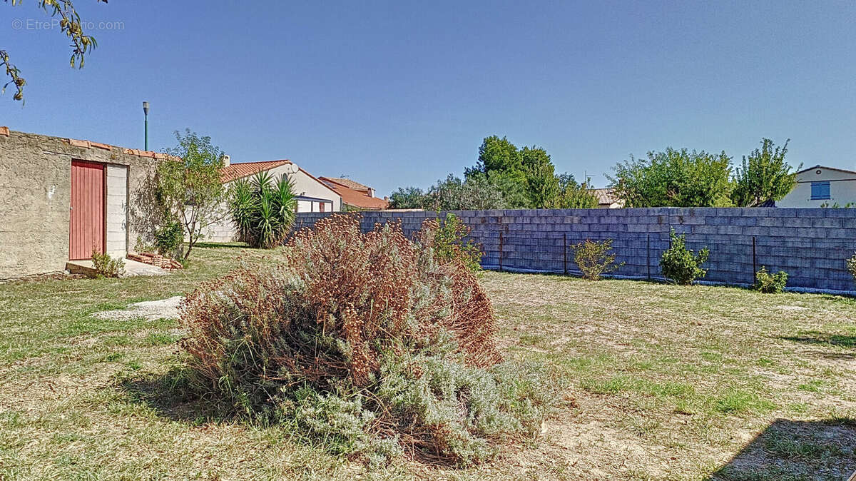 Terrain à LE BOULOU