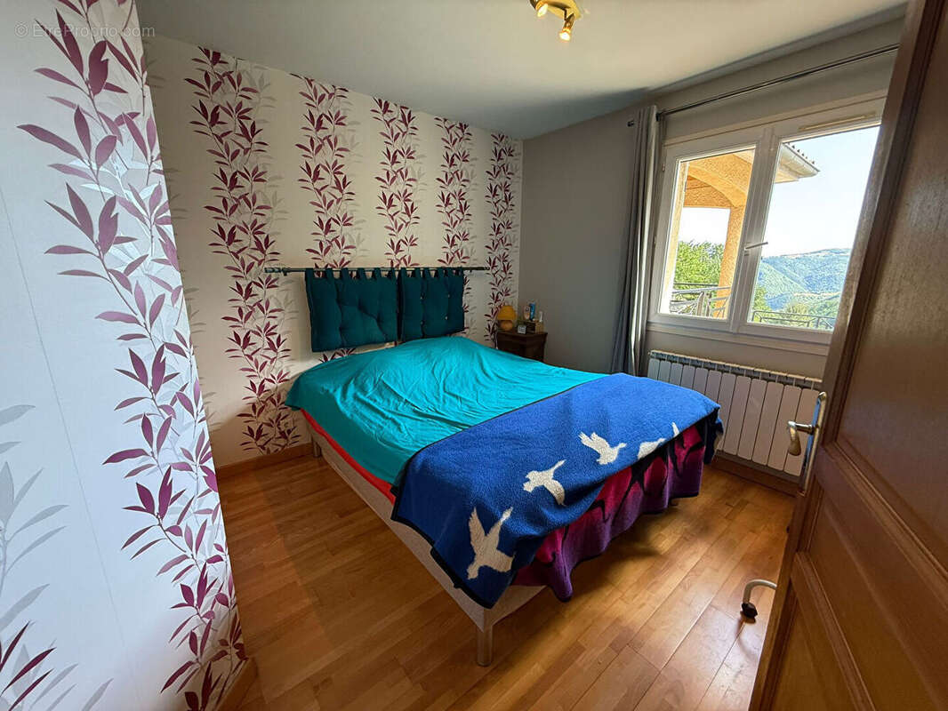 Maison à SAINT-JEAN-DE-MUZOLS