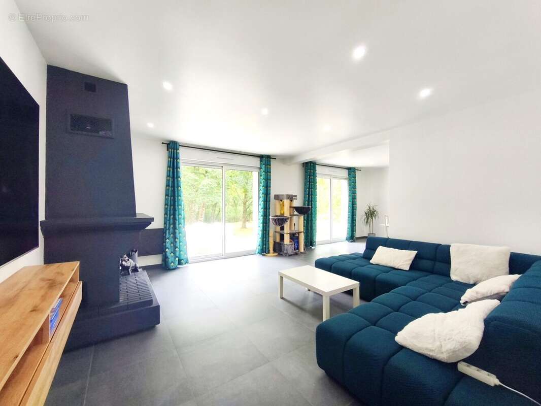 Maison à VIENNE-EN-VAL