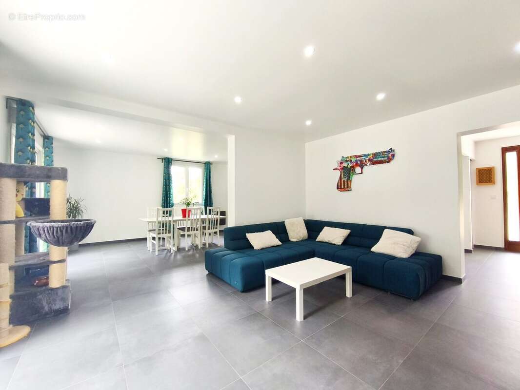 Maison à VIENNE-EN-VAL