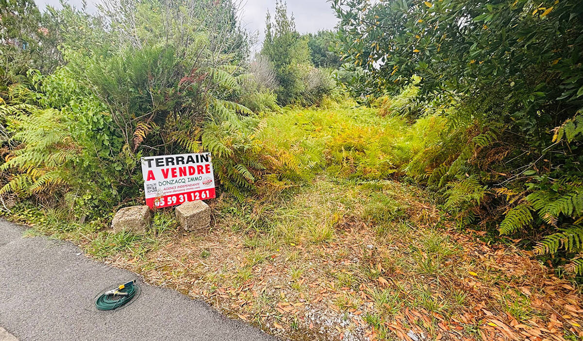 Photo 1 - Terrain à LABENNE