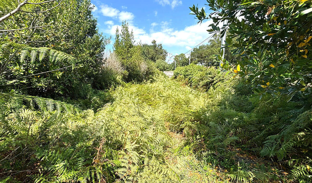 Photo 2 - Terrain à LABENNE