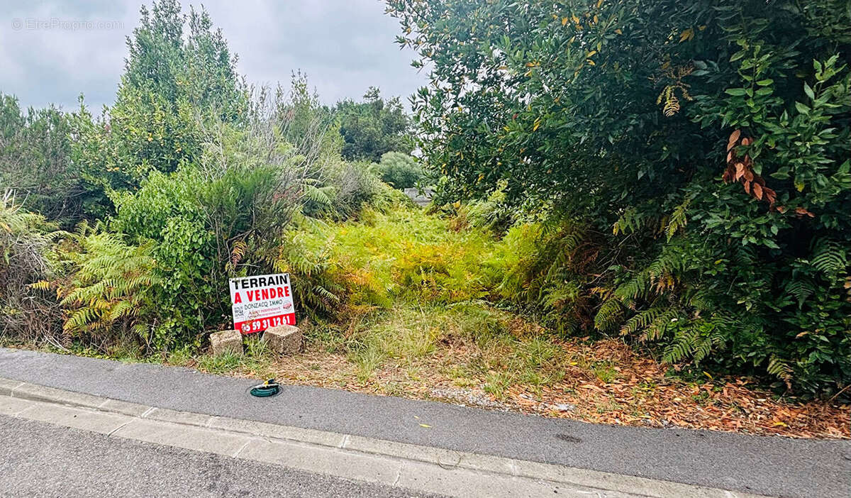 Photo 6 - Terrain à LABENNE