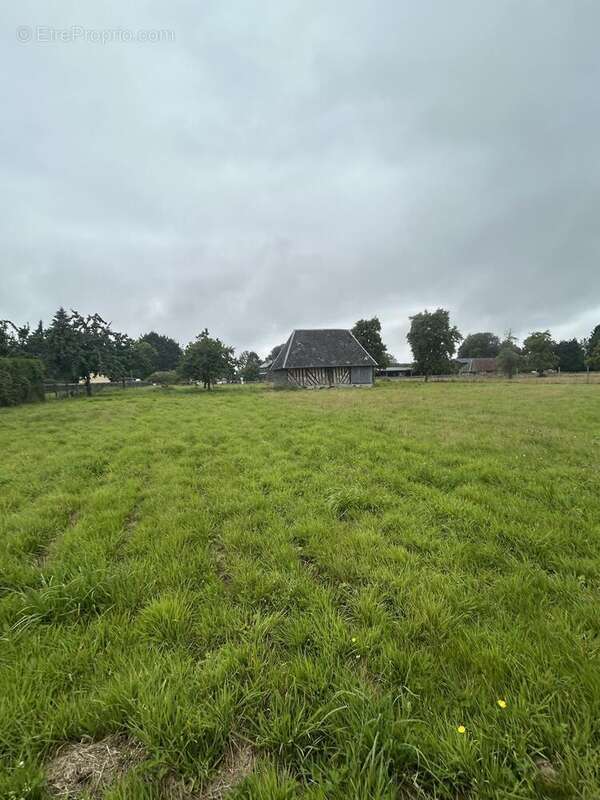 Photo 3 - Terrain à LE BREVEDENT