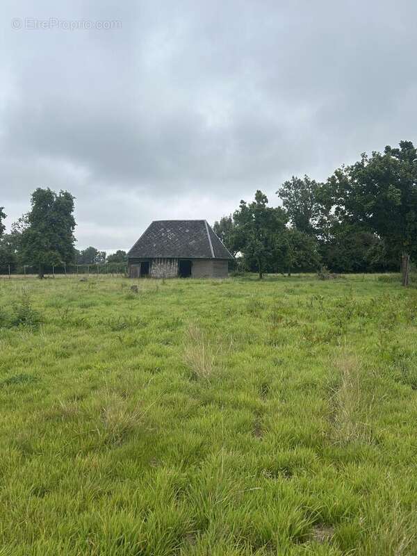 Photo 4 - Terrain à LE BREVEDENT