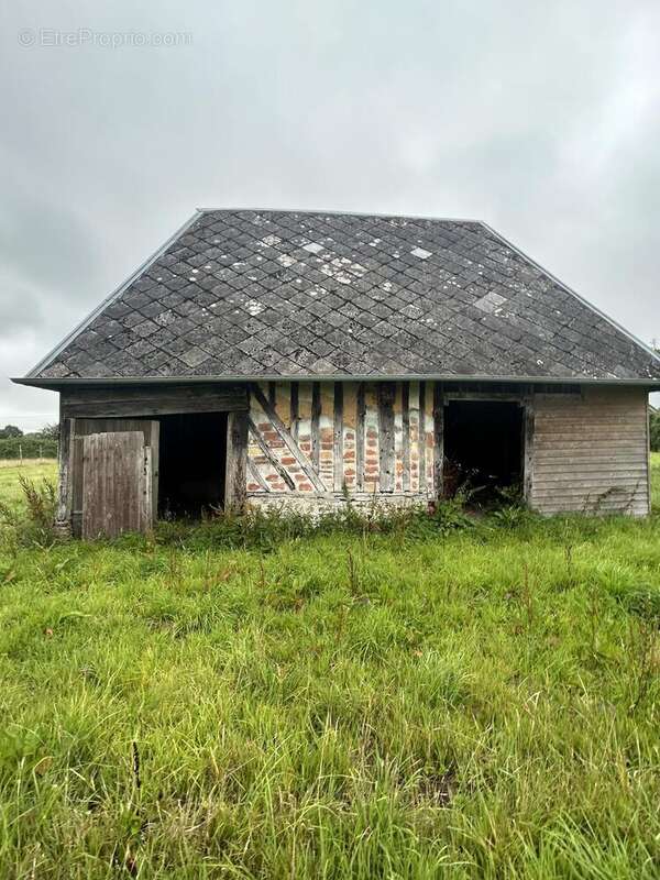 Photo 5 - Terrain à LE BREVEDENT