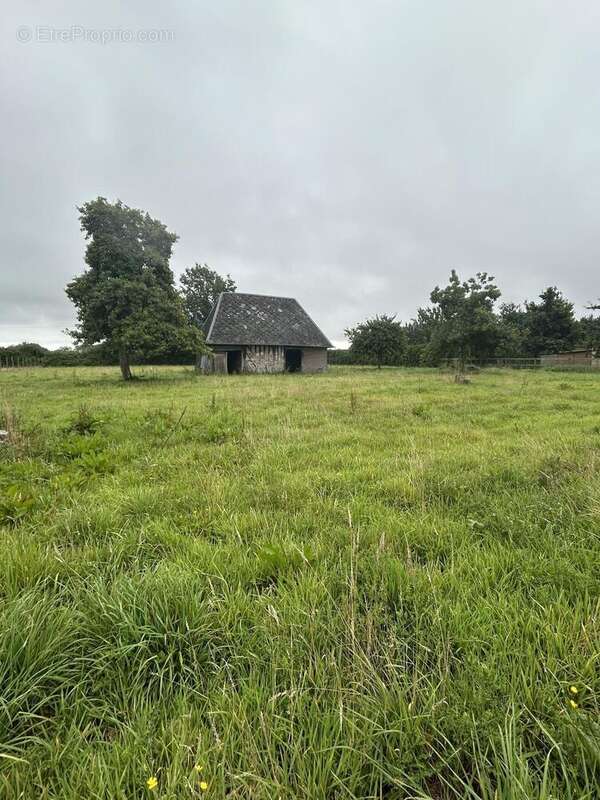 Photo 6 - Terrain à LE BREVEDENT