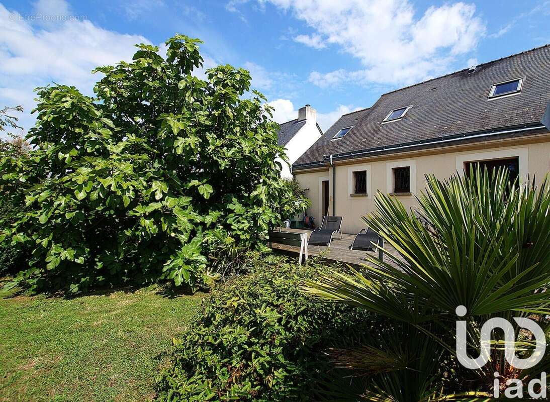 Photo 3 - Maison à ASSERAC