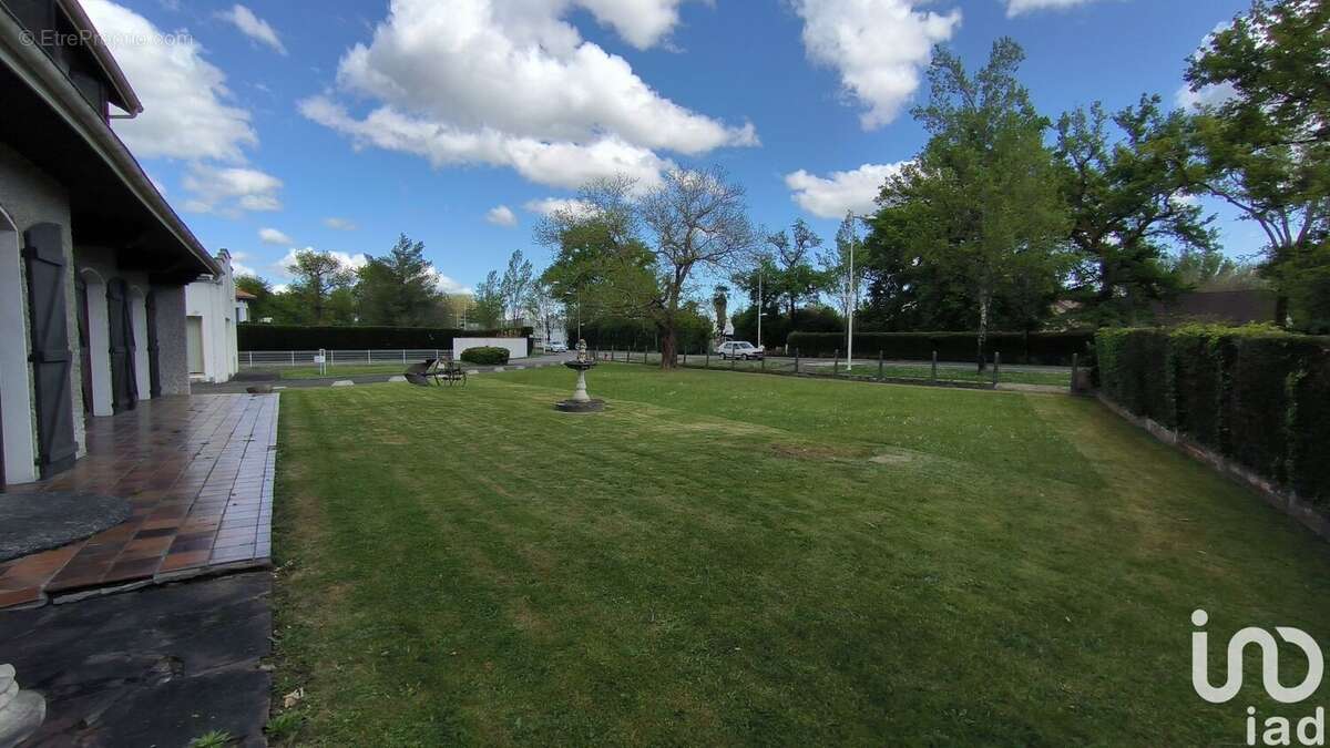 Photo 7 - Commerce à MOURENX