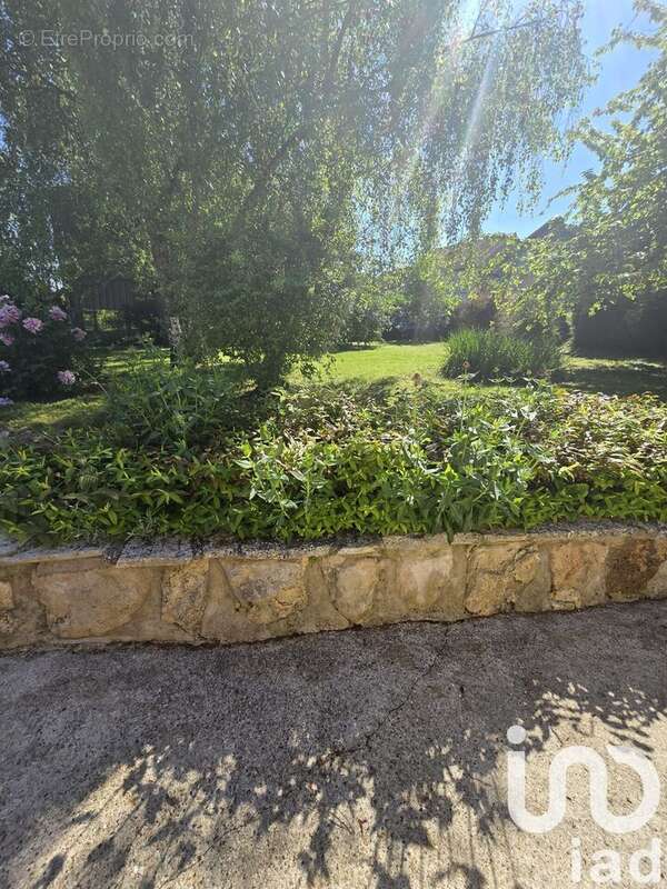 Photo 3 - Maison à DORMANS