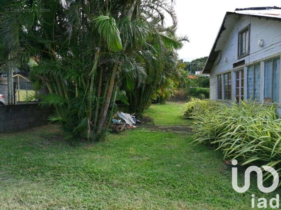 Photo 8 - Terrain à SAINT-JOSEPH