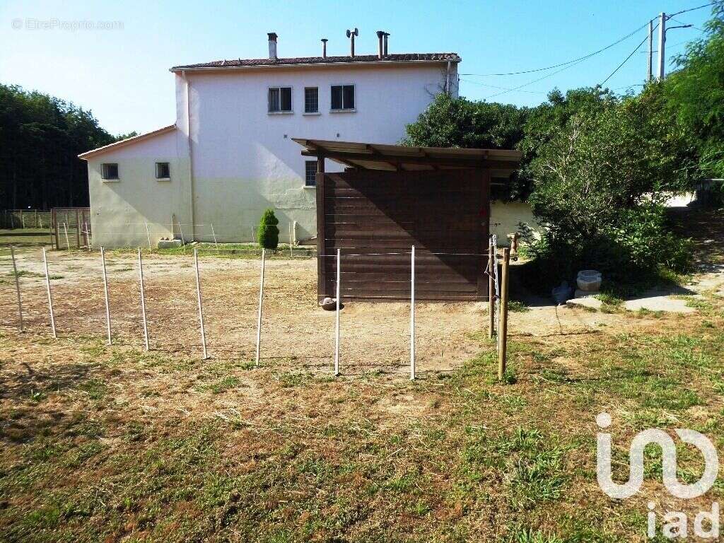 Photo 2 - Maison à MILLAS