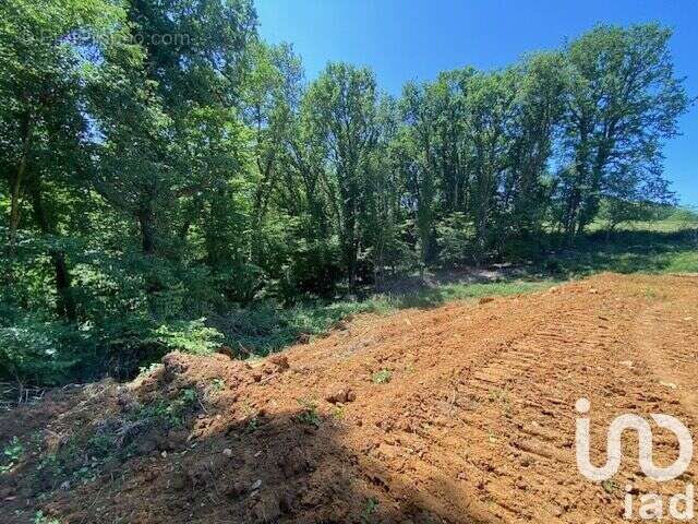 Photo 8 - Maison à SAINT-AMAND-DE-COLY