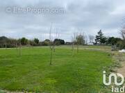 Photo 1 - Terrain à CHAMPAGNE-LES-MARAIS