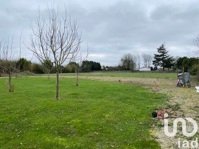 Photo 3 - Terrain à CHAMPAGNE-LES-MARAIS