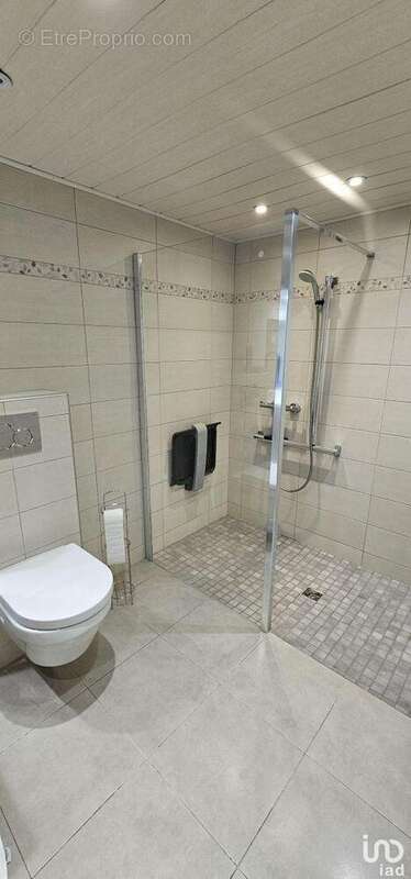 Photo 8 - Commerce à CHATENOIS