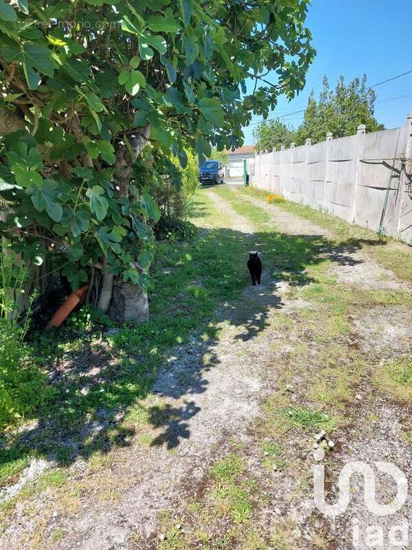 Photo 4 - Maison à BOURCEFRANC-LE-CHAPUS