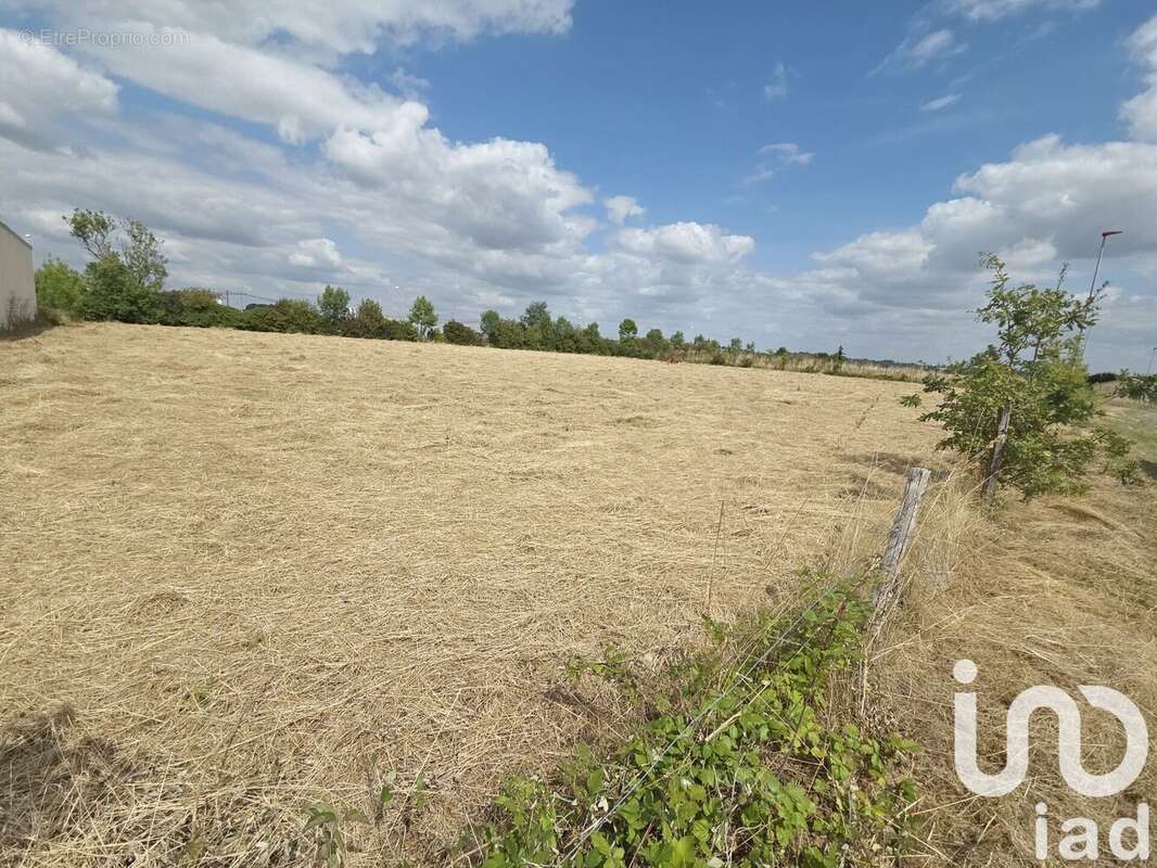 Photo 2 - Terrain à MONTOURNAIS
