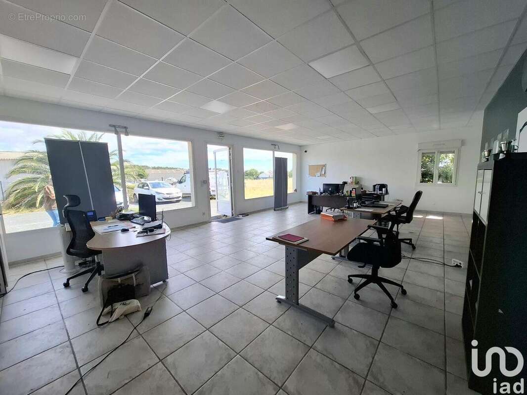 Photo 2 - Commerce à MARENNES