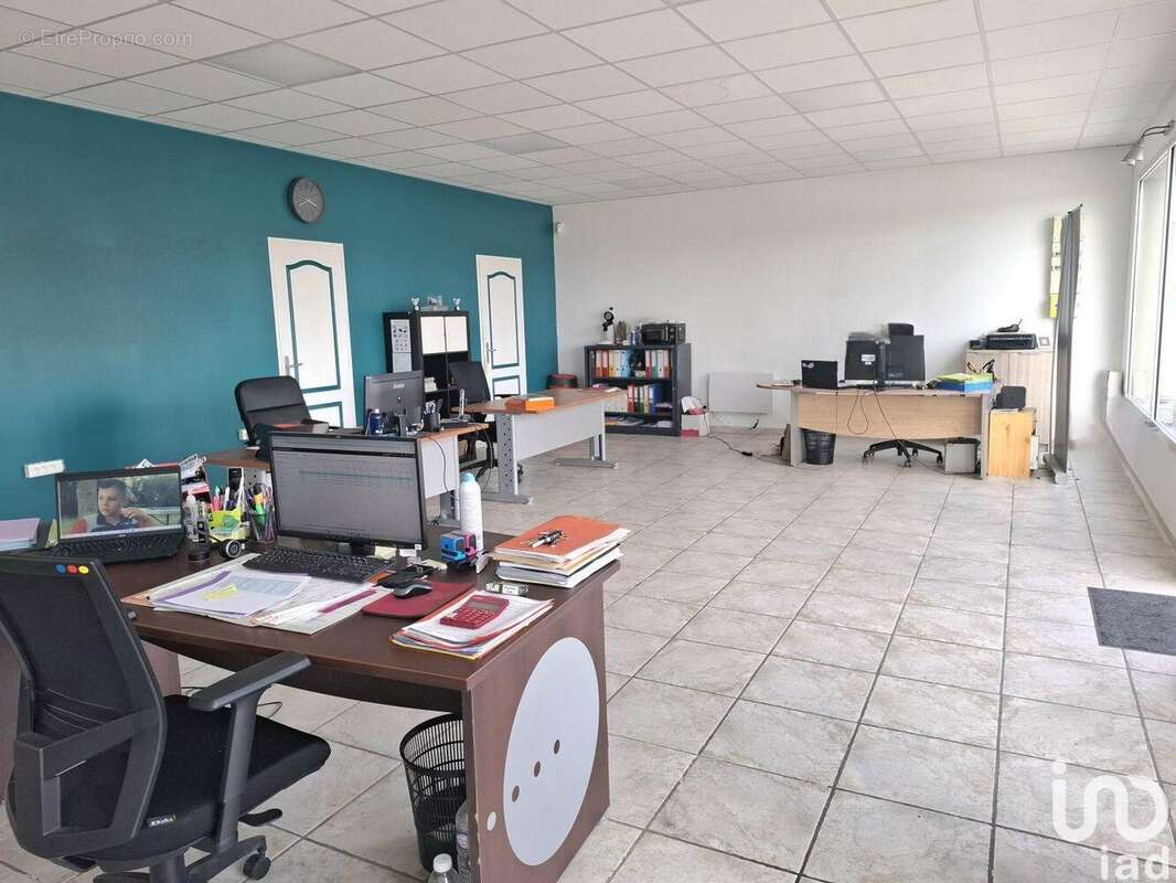 Photo 3 - Commerce à MARENNES