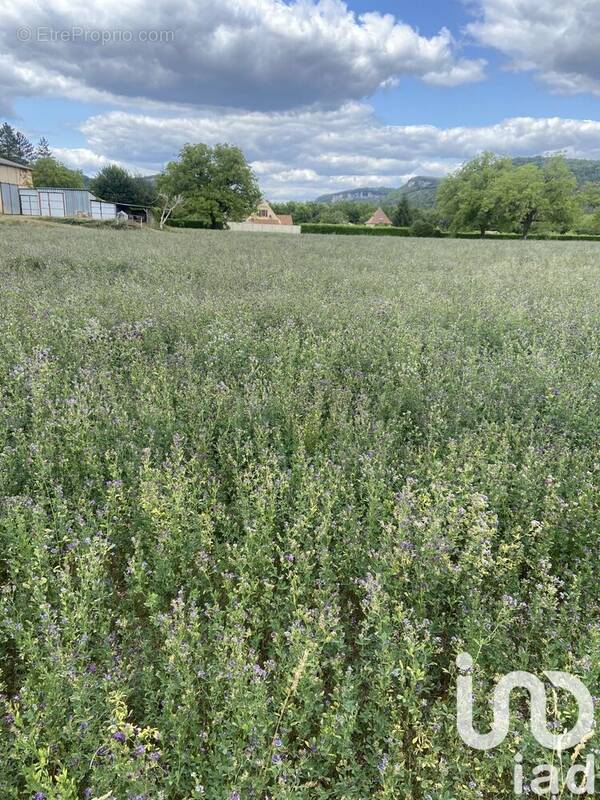 Photo 1 - Terrain à SAINT-CYBRANET