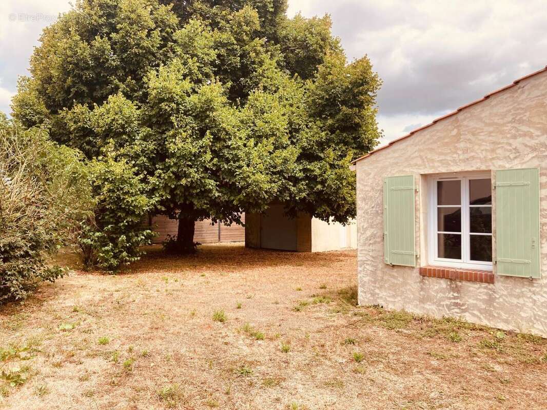 Photo 8 - Maison à SAINT-BENOIST-SUR-MER