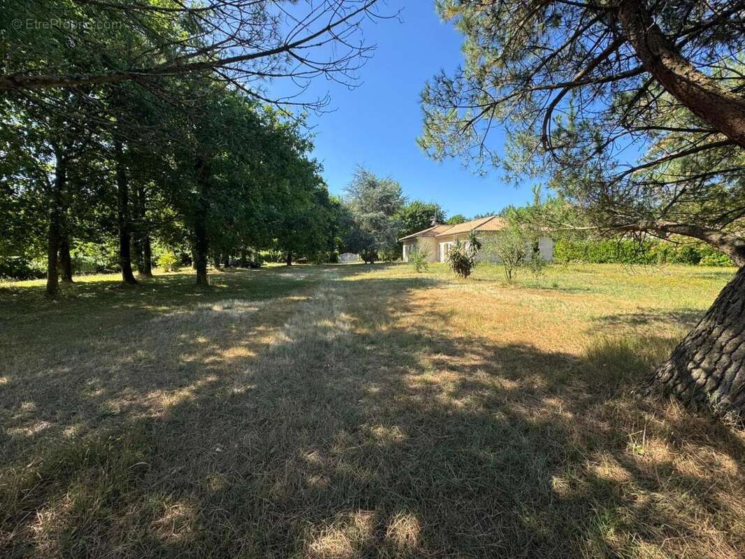 Photo 2 - Maison à SAINT-SAUVEUR