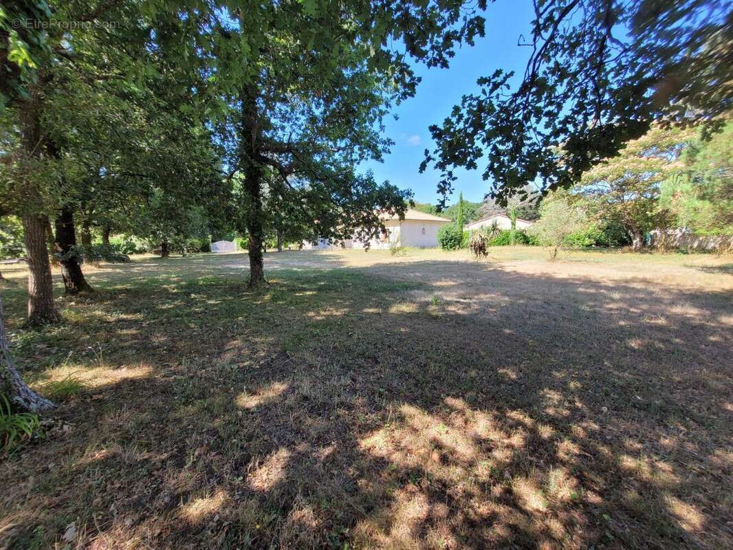 Photo 3 - Maison à SAINT-SAUVEUR