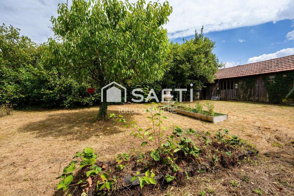 Photo 5 - Maison à VARENNES-CHANGY