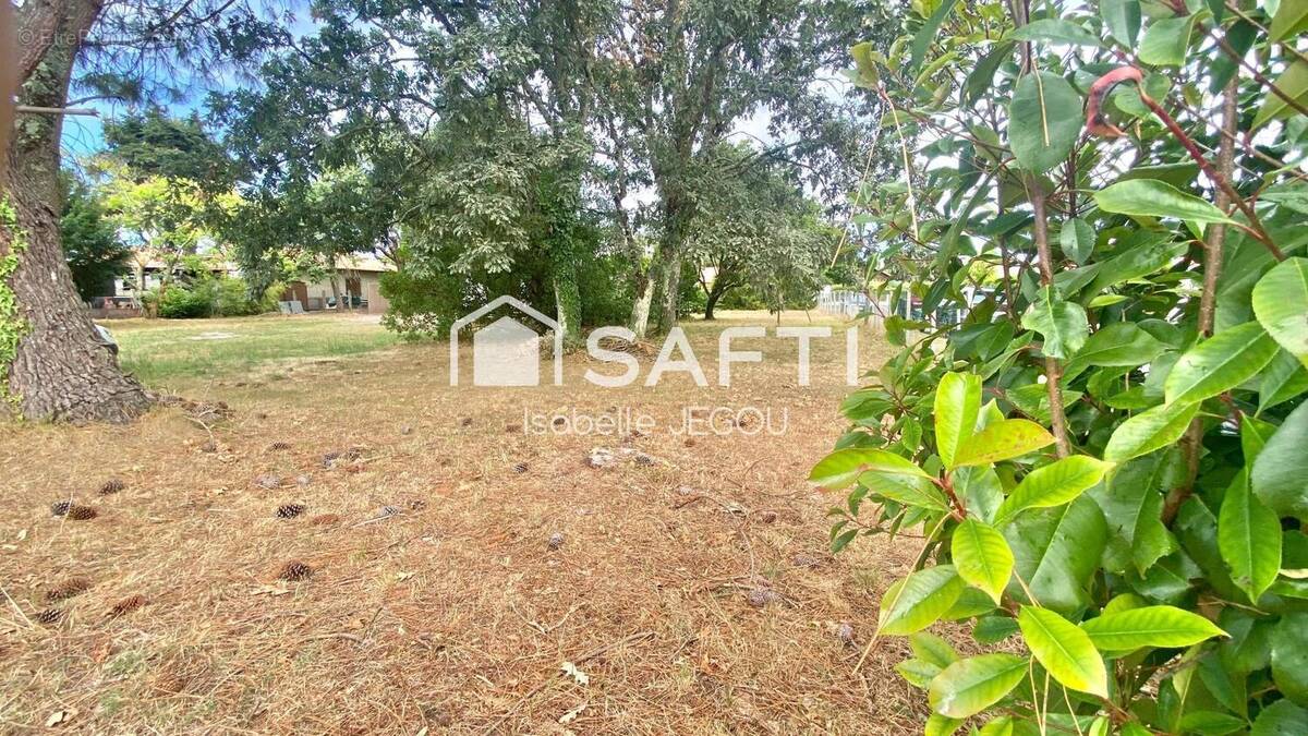 Photo 1 - Terrain à AUDENGE